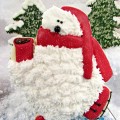 1 Polar Bear with coke