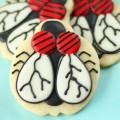 Fly Cookies 5A