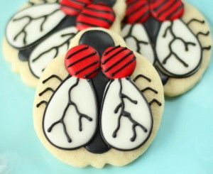 Fly Cookies 5A