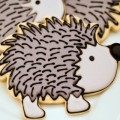 Porcupine in LR A