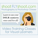 Shootfly