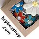 BR Box