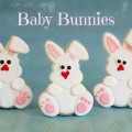 Baby Bunnies