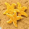 Starfish Cookies by www.thebearfootbaker.com