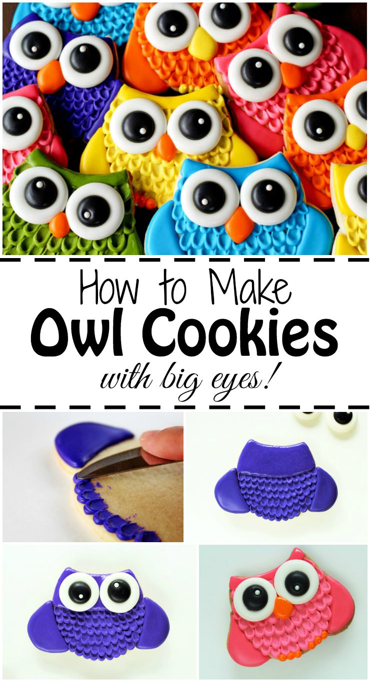 How to Make Owl Cookies with Big Eyes | The Bearfoot Baker