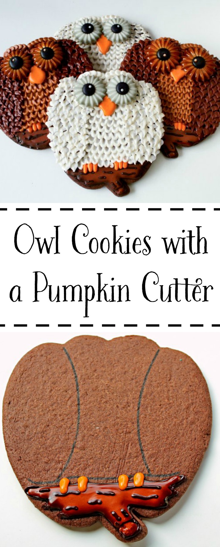 Make this Cute Owl Cookie by Using the Pumpkin Cookie Cutter | The Bearfoot Baker