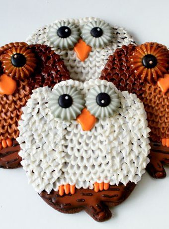 Owl Cookies make with a Pumpkin Cutter by www.thebearfootbaker.com