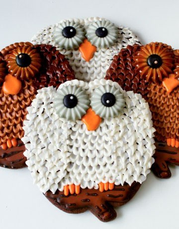Owl Cookies make with a Pumpkin Cutter by www.thebearfootbaker.com