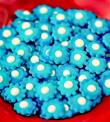 Blue Royal Icing Flower Transfers | The Bearfoot Baker