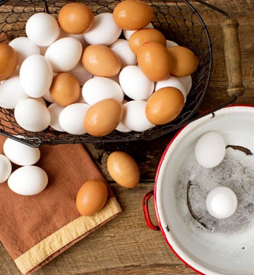 Eggs How to test for freshness by thebearfootbaker.com