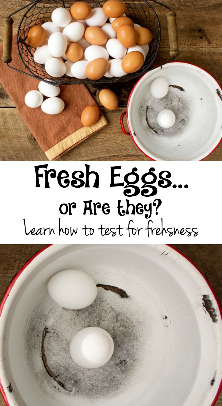 How to test eggs for freshness via www.thebearfootbaker.com