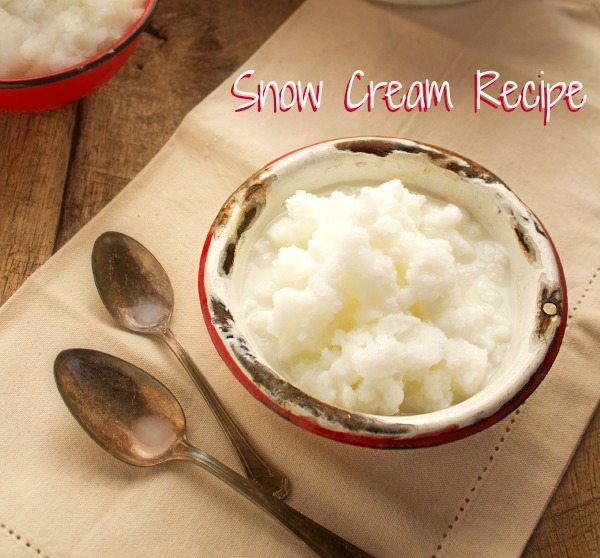 Simple Snow Cream Recipe and Snow Day Fun via thebearfootbaker.com