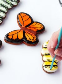 Easy Butterfly Cookies Decorated with Royal Icing-Tutorial thebearfootbaker.com