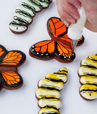 Simple Butterfly Cookies - easy step by step tutorial on www.thebearfootbaker.com