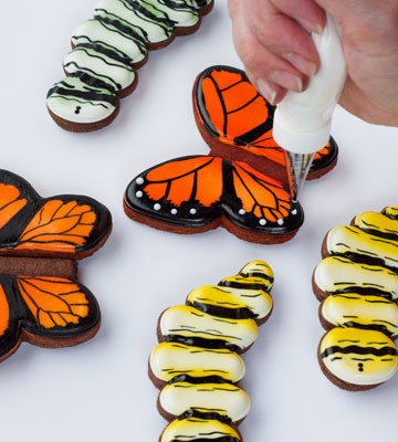 Simple Butterfly Cookies - easy step by step tutorial on www.thebearfootbaker.com