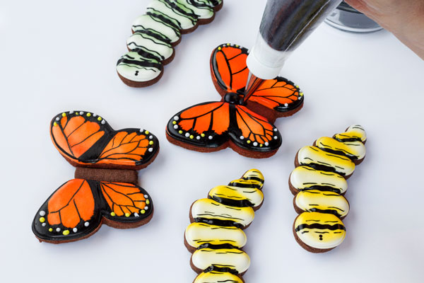 Simple butterfly cookies - cut out sugar cookies with royal icing from www.thebearfootbaker.com