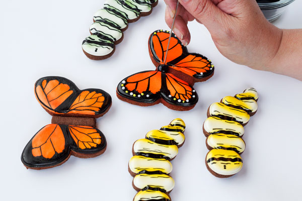Simple butterfly cookies - simple sugar cookies decorated with royal icing- www.thebearfootbaker.com