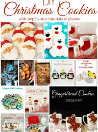 DIY Decorated Christmas Cookies with step by step tutorials and photos via www.thebearfootbaker.com