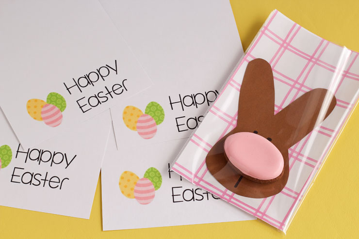 Simple Easter Cookie Card - Easter Bunny with A Sugar Cookie Nose Decorated with Royal Icing via thebearfootbaker.com