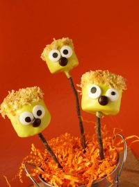 Did You Say Halloween Marshmallow Pops | The Bearfoot Baker