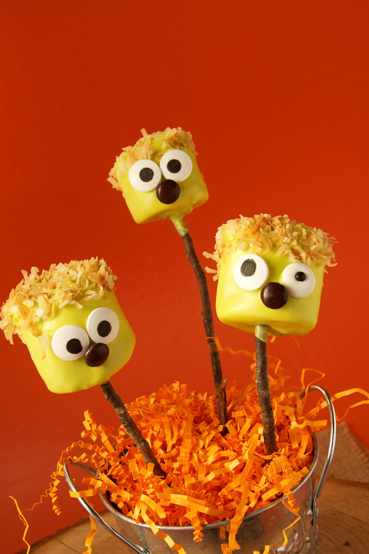 Did You Say Halloween Marshmallow Pops | The Bearfoot Baker