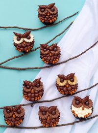 How to Make Easy Owl Cupcakes | The Bearfoot Baker