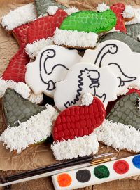 Paint Your Own Dinosaur Christmas Cookies | The Bearfoot Baker