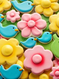 How to Make Blue Bird and Flower Cookies | The Bearfoot Baker