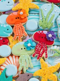 How to Make Jellyfish Cookies with Video | The Bearfoot Baker