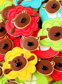 How to Make Fun Ballerina Bear Cookies with a How to Video | The Bearfoot Baker