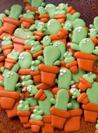 How to Make Cactus Candy Decorations with a Video | The Bearfoot Baker