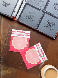 How to Organize Your Cookie Stencils | The Bearfoot Baker