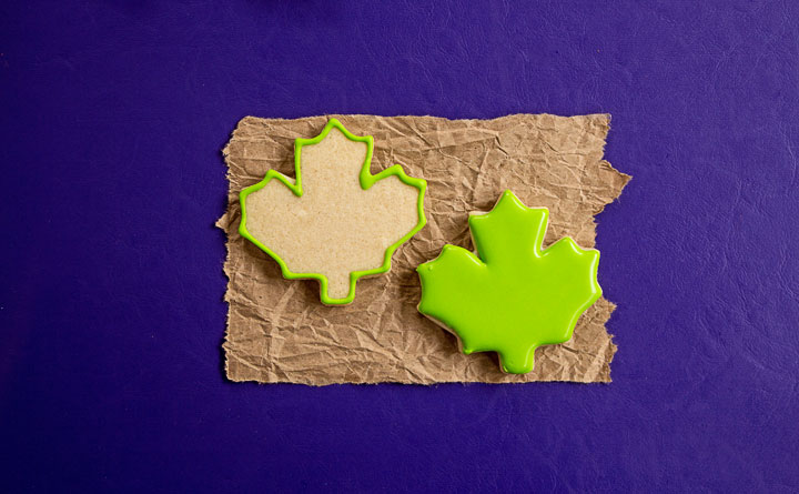 How to Make an Adorable Pumpkin Cookie Platter | The Bearfoot Baker