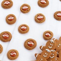 Easy-Gingerbread-Thumbprint-Cookies-From-a-Cookie-Mix-The-Bearfoot-Baker.jpg