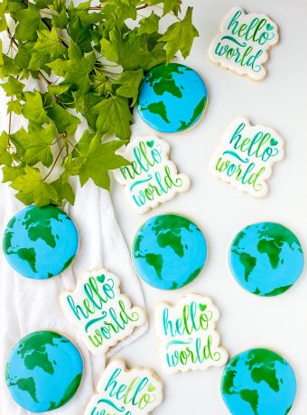 Super Fun Happy Earth Day Cookies You Will Love | The Bearfoot Baker