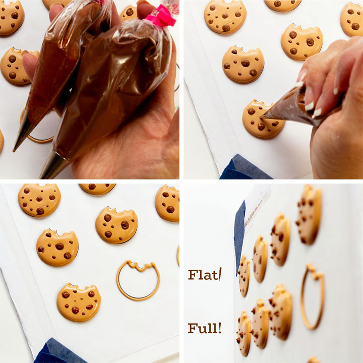 Chocolate Chip Roll Out Cookie Recipe  Sweetopia